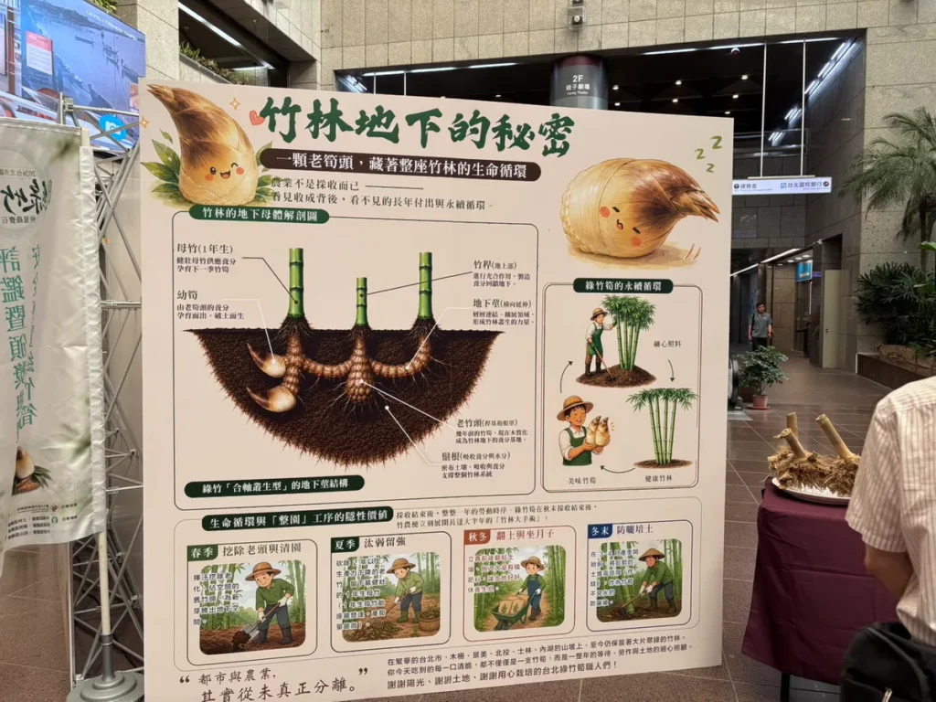 綠竹筍食農教育看板