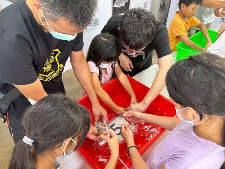 東北角「珊瑚小學堂」親子共學 體驗珊瑚復育的奧秘