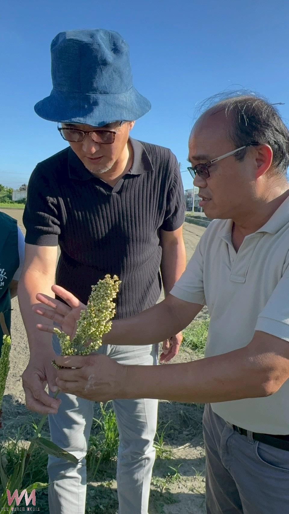 雲林豪雨災損獲補貼 高粱、仙草、文蛤現金救助公告啟動 - https://www.watchmedia01.com