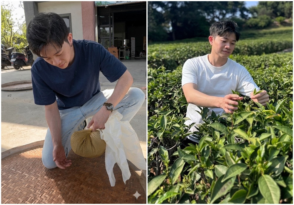 楊梅青農莊政霖深耕茶產業，獲選農業部第八屆百大青農。 