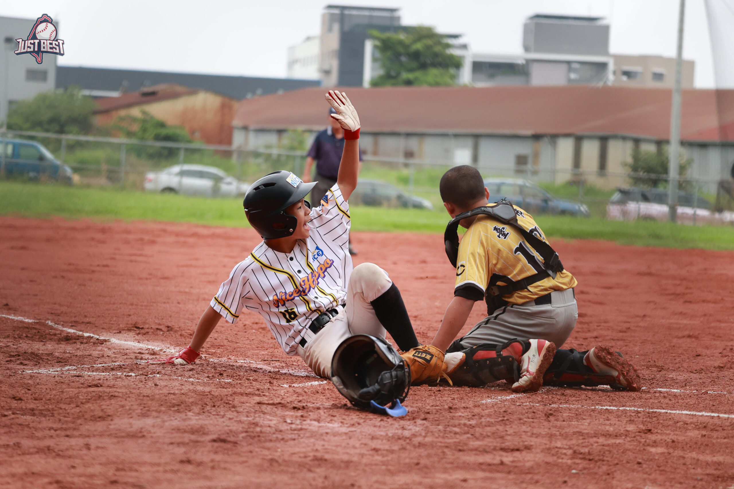 臺中就是棒》U12大聯盟進入尾聲 東海河馬一勝一和登上龍頭