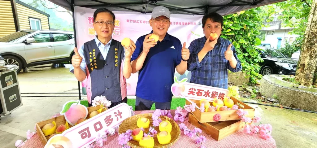 尖石鄉公所推出「甜蜜豐收・樂桃尖石」水蜜桃行銷推廣系列活動