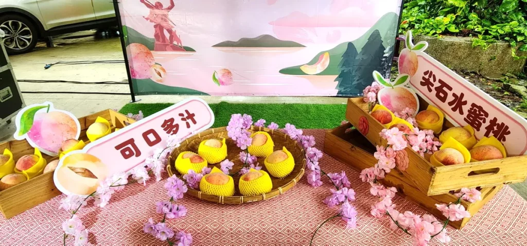 體驗原鄉風情，品嚐最新鮮、最香甜的水蜜桃。