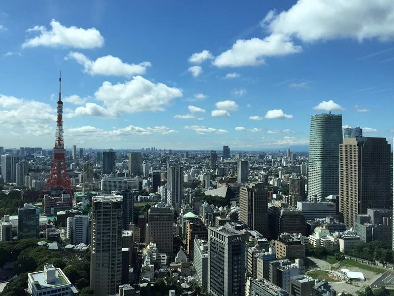 杜絕空殼公司！日本新法將強制揭露法人「實質控制人」