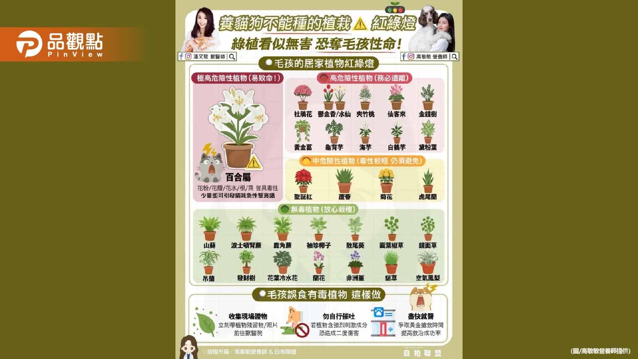 今天與潘又瑄獸醫師一起 帶大家認識毛孩居家植物紅綠燈
