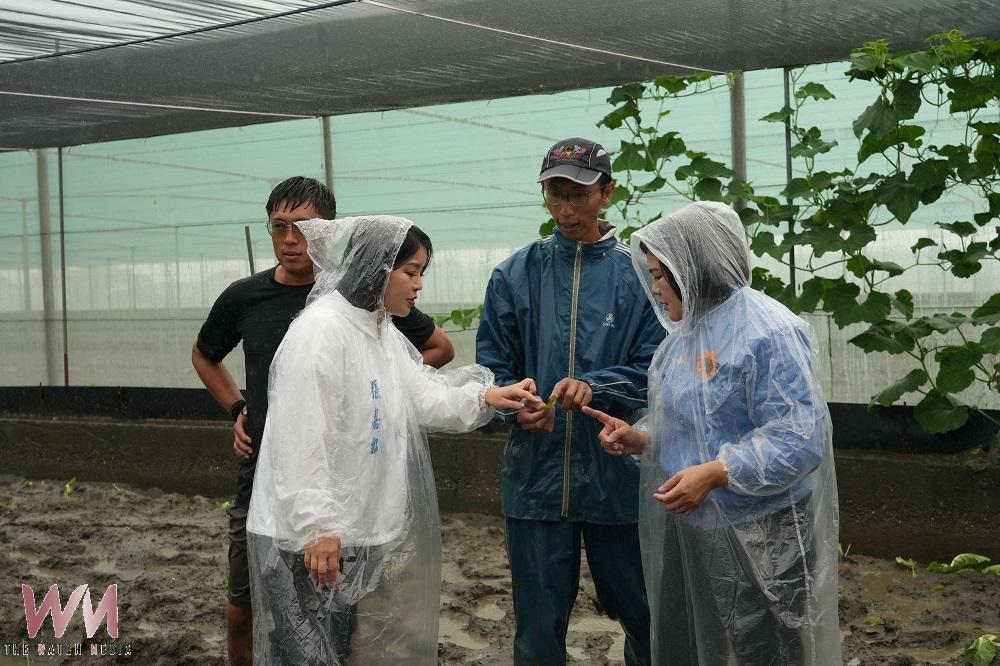雲林豪雨重創葉菜產區!二崙、西螺菜田泡水 張麗善急勘災爭取救助 - https://www.watchmedia01.com