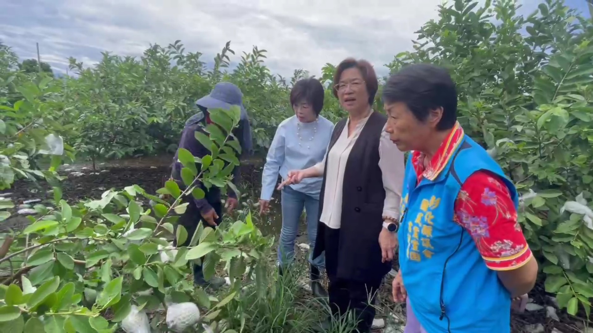 (有影片)/豪雨灌爆溪州芭樂園 王惠美:盼擴大天災救助 - https://www.watchmedia01.com