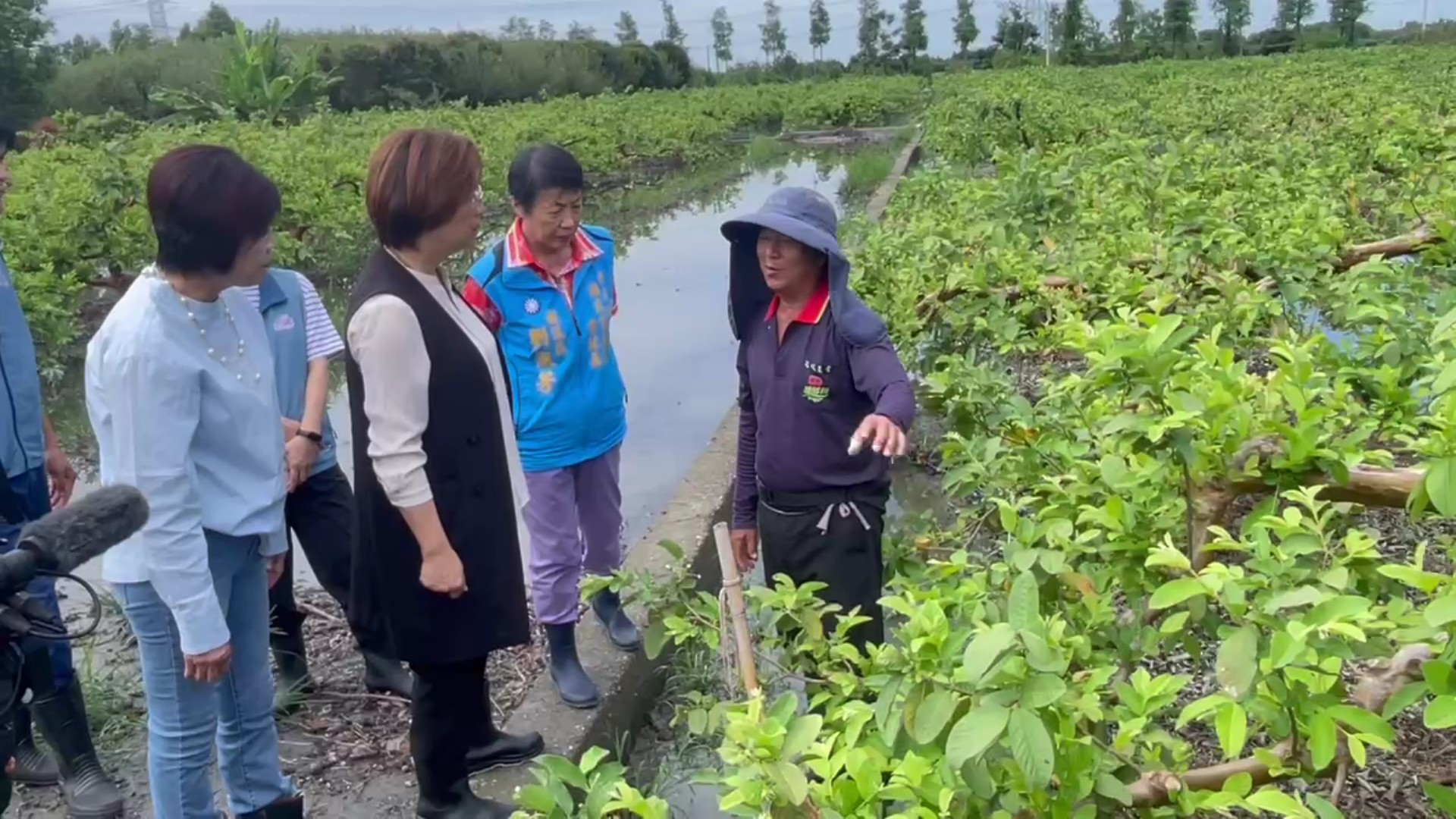 (有影片)/豪雨灌爆溪州芭樂園 王惠美:盼擴大天災救助 - https://www.watchmedia01.com