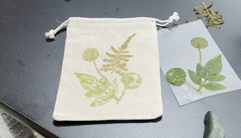 臺北典藏植物園五大免費手作工作坊開放報名