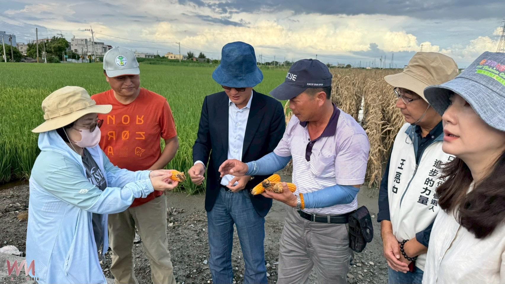 氣候衝擊農損嚴重 雲林硬質玉米列災救助區農民每公頃補助2.8萬 - https://www.watchmedia01.com