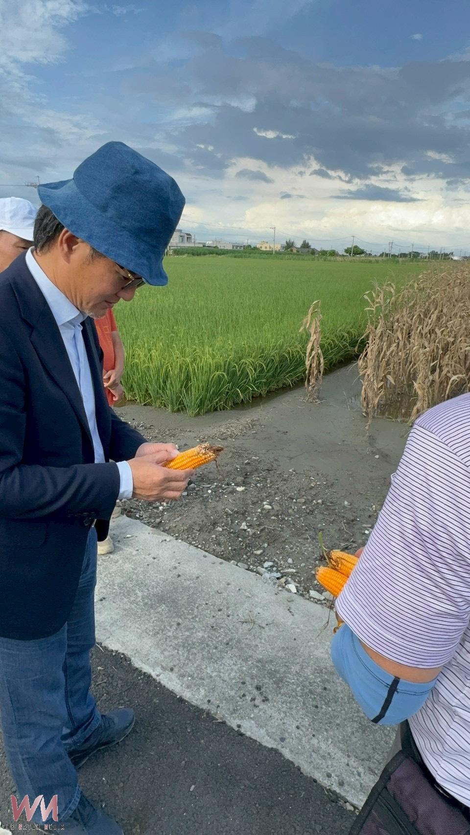 氣候衝擊農損嚴重 雲林硬質玉米列災救助區農民每公頃補助2.8萬 - https://www.watchmedia01.com