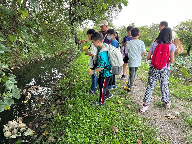 探索濕地奧秘玩中學 新北生態體驗營7/2報名 44 《圖說》透過實地走訪與觀察,孩子們近距離認識各類動植物。〈環保局提供〉