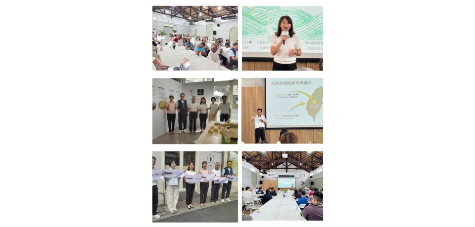 蓬萊米百年特展登場 「百年稻浪X斗南町」見證臺灣米食文化邁向下一個百年