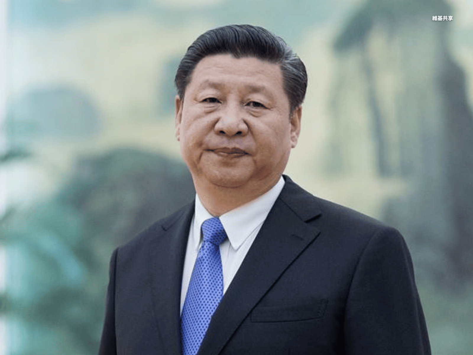 中國國家主席、中共中央總書記習近平。(維基共享)