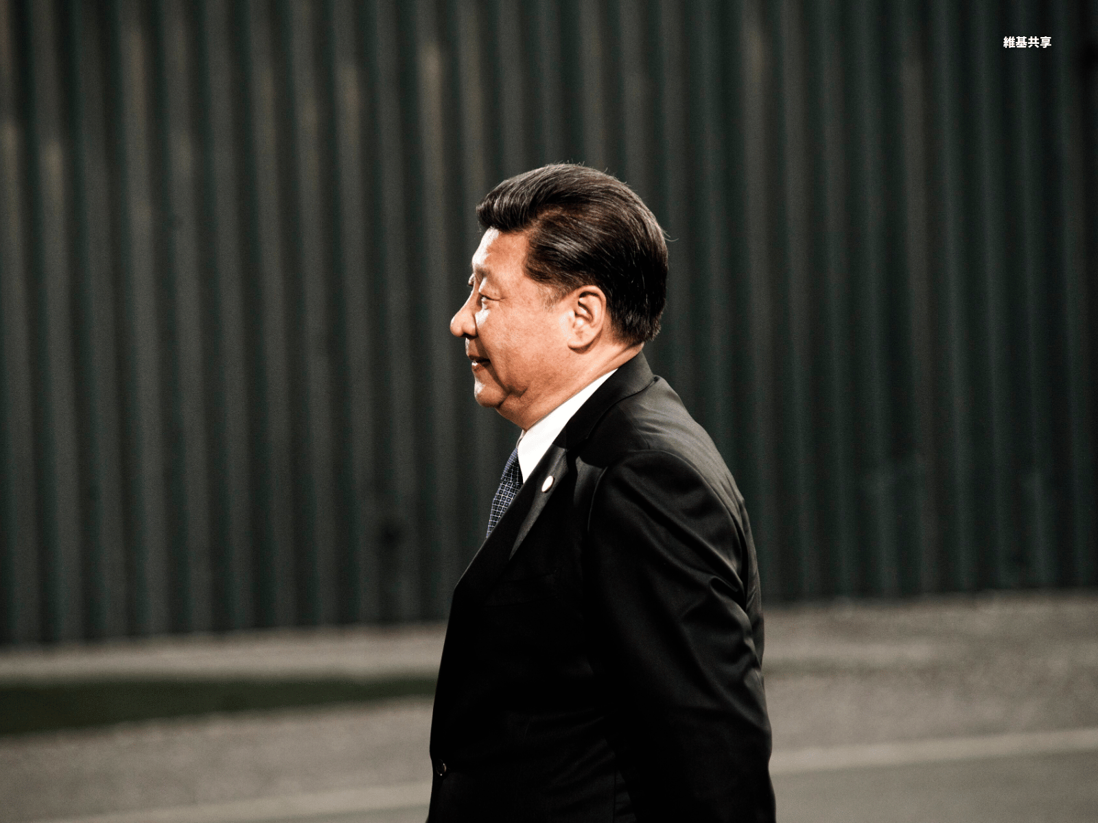 中國國家主席、中共中央總書記習近平。(維基共享)