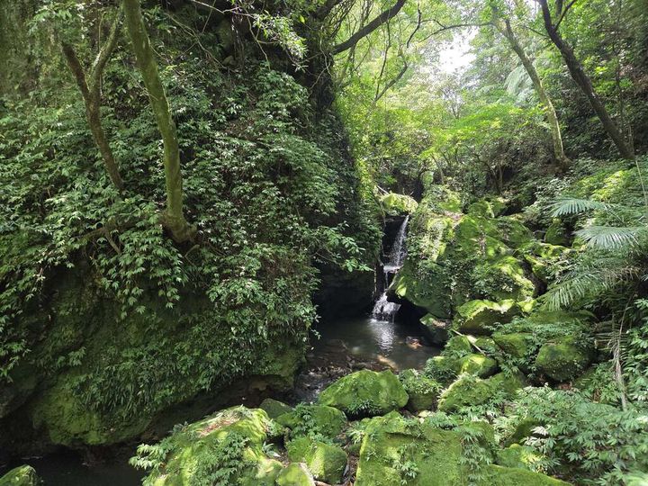 漫遊陽明山新秘境 竹子湖猴崁水圳步道自然之旅