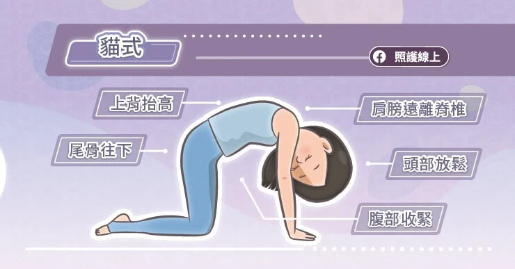 3. 貓式(Cat Pose)