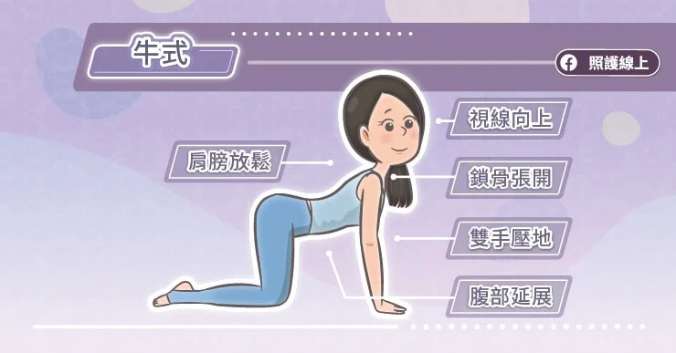 4. 牛式(Cow Pose)