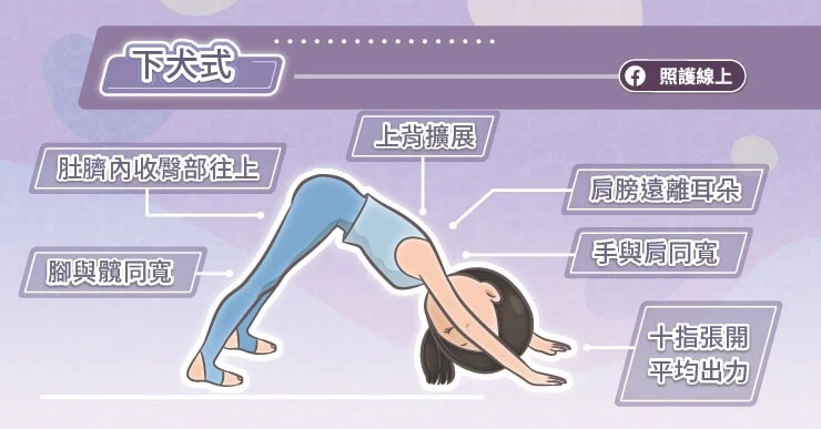 5. 下犬式(Downward Facing Dog)