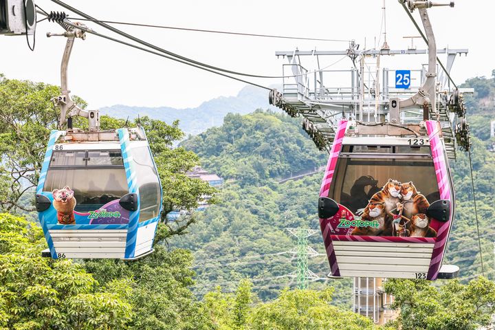 《全城出動 飛上貓空》今夏最萌城市冒險登場 《動物方城市》10週年x貓空纜車20週年同歡慶