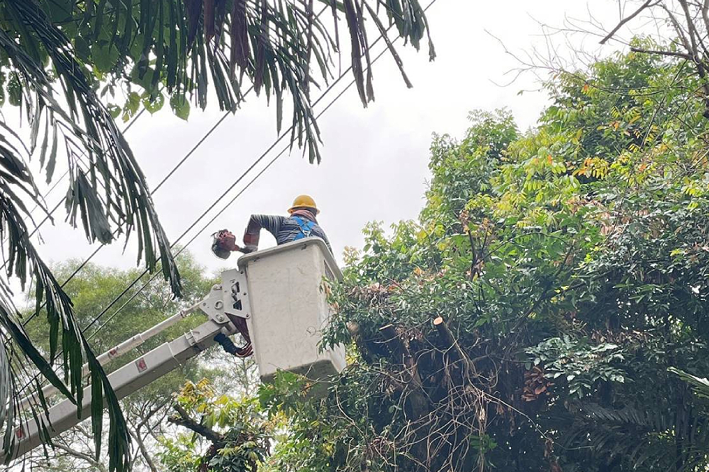 台電落實線路巡視 颱風若釀停電有3管道通報 180 台電落實線路巡視 颱風若釀停電有3管道通報 179