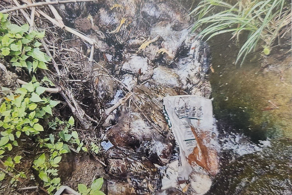 苗栗2起死雞「棄屍」案 苗檢起訴3飼主 158 苗栗2起死雞「棄屍」案 苗檢起訴3飼主 157
