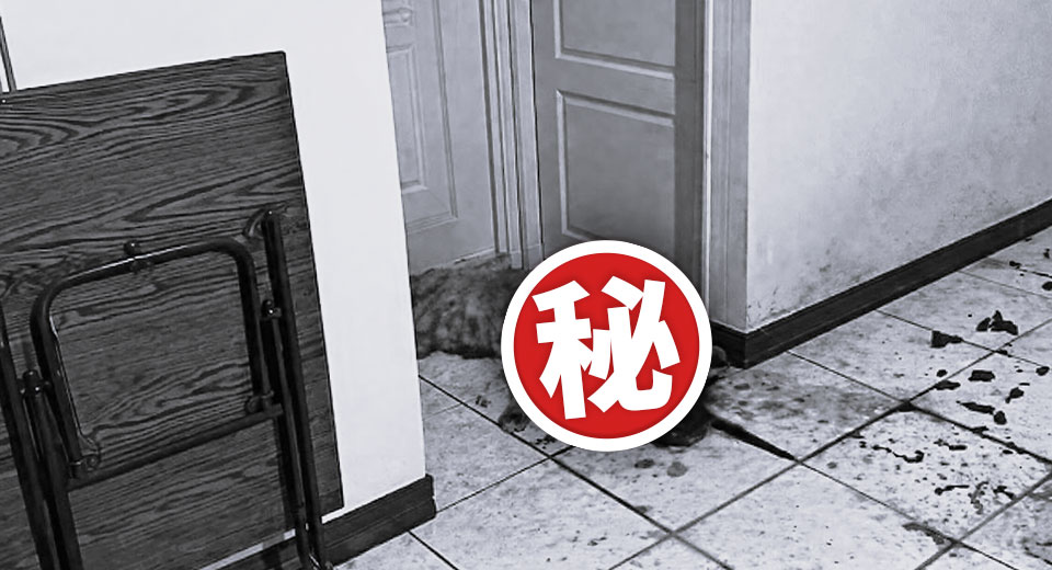棄屋也棄養 隱蔽於動保法眼之外的「寵物命案現場」 69586956565