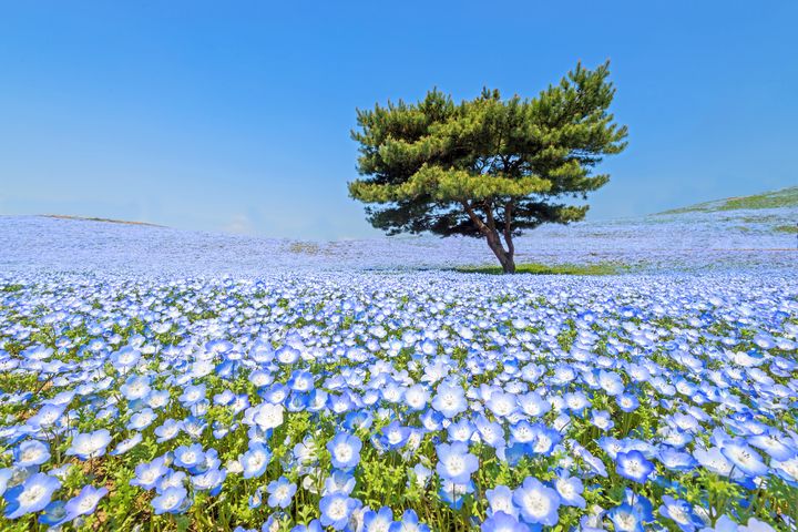 「拍出別人沒有的風景」成了旅行新奢華 西班牙岩壁村莊以獨特視覺體驗居冠