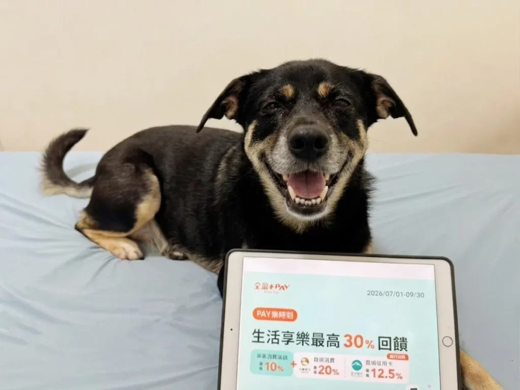 寵愛毛孩也為您守護荷包!全盈+PAY 祭寵物商品最高享30_回饋