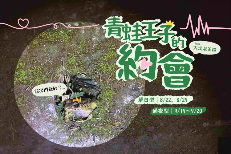 ▲115年青蛙王子的約會活動海報。