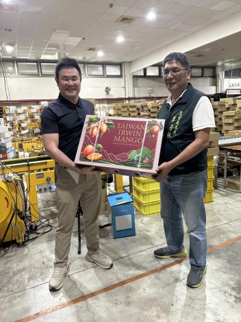 臺南市政府攜手外銷業者推動愛文芒果外銷,由業者展示「Taiwan Irwin Mango」禮盒,持續拓展日本及英國等海外市場,提升臺南芒果國際品牌能見度。圖/臺南市政府農業局