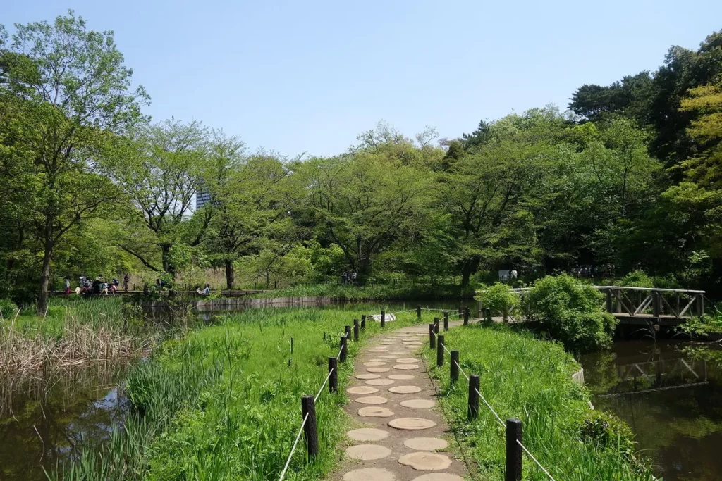 沿著水域設置的水生植物園步道。新綠環繞的小徑，可近距離觀察各類自然生態。圖片提供：國立科學博物館附屬自然教育園