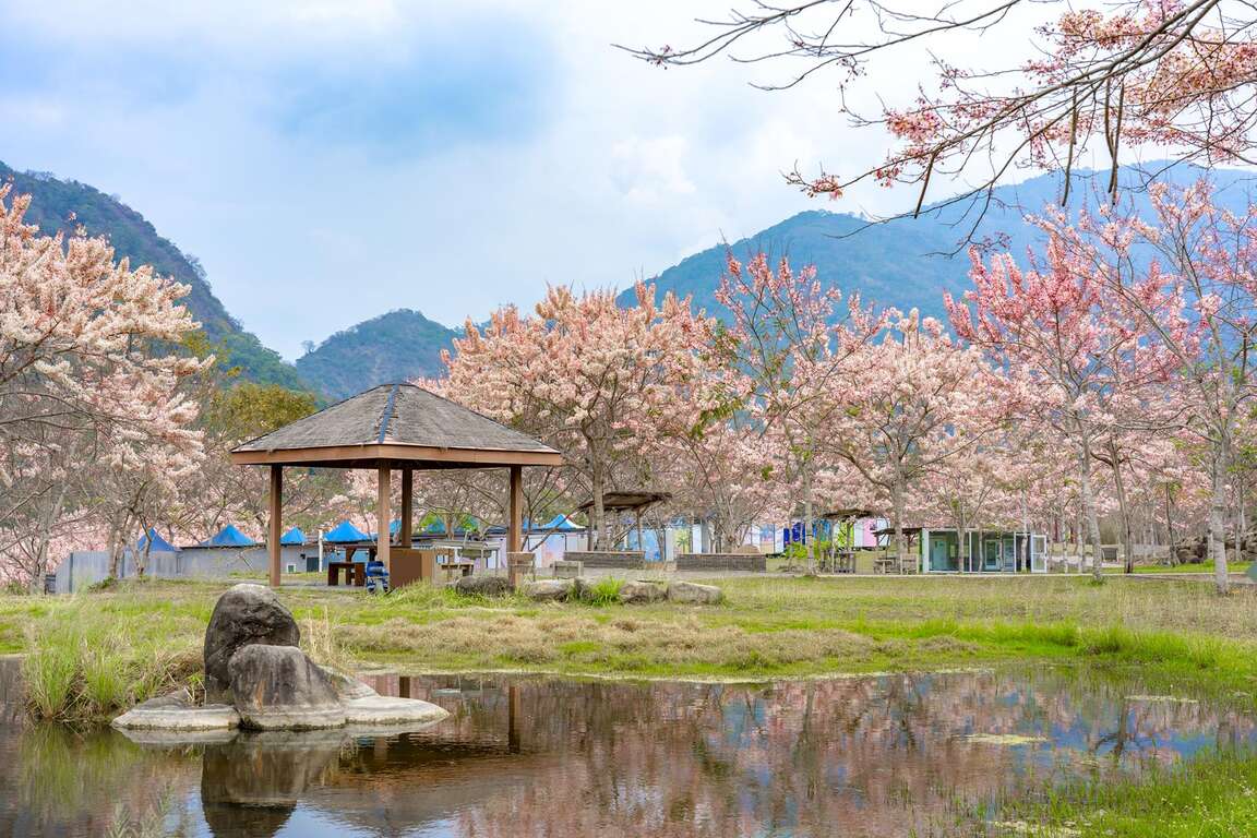 ▲寶來花賞溫泉公園美麗景色