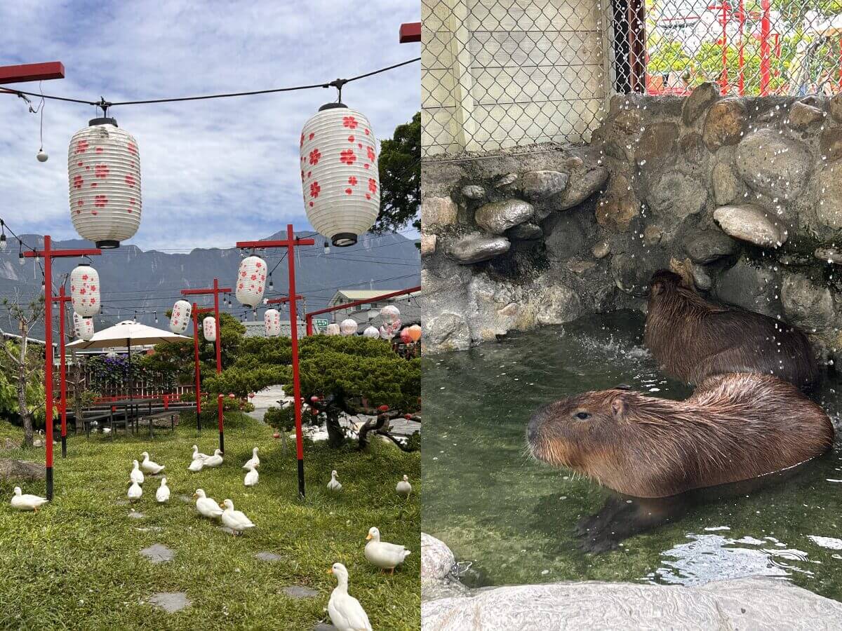 花蓮一日遊|我以為飛到京都了!日式庭園免費穿浴衣、日式老宅抹茶甜點,在地必吃原住民美食超有反差感