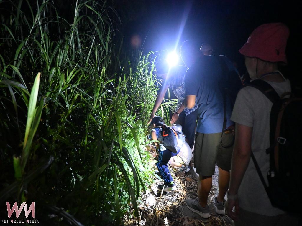 彰化文化局暑期遊程開跑 清水岩夜觀生態成親子熱門選擇 - https://www.watchmedia01.com