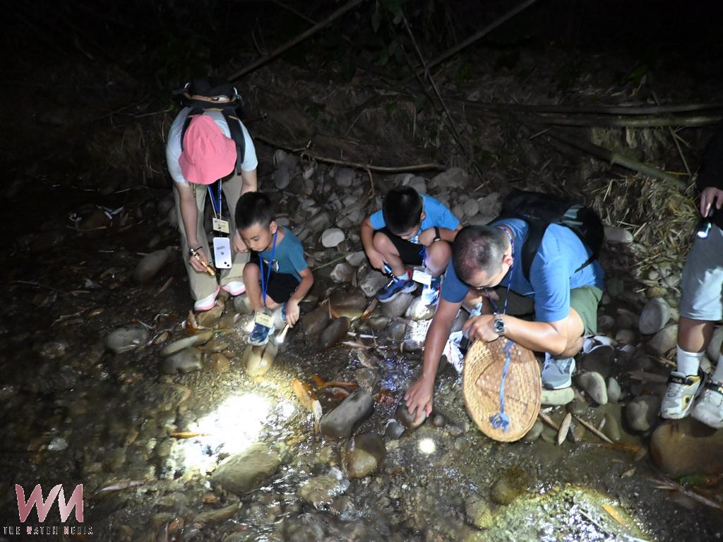 彰化文化局暑期遊程開跑 清水岩夜觀生態成親子熱門選擇 - https://www.watchmedia01.com