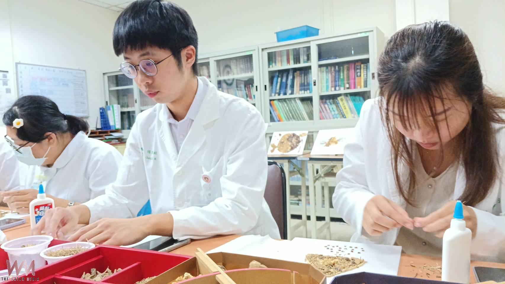 廢材變藝術 北港附醫推廣「中醫藥畫」環保又紓壓 - https://www.watchmedia01.com