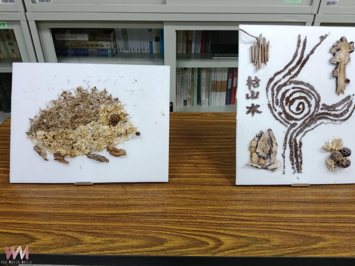 廢材變藝術 北港附醫推廣「中醫藥畫」環保又紓壓 - https://www.watchmedia01.com