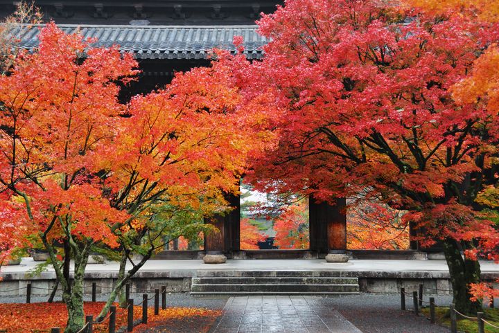 多住一晚更好玩!頂奢住宿x慢旅品味 重塑日本高端旅遊新樣貌
