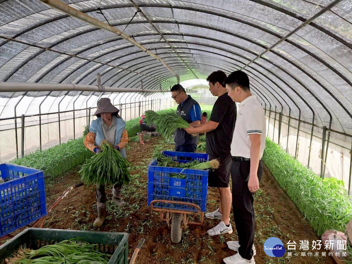 桃園市政府農業局全面啟動農業防颱應變機制，前往轄內稻田、農園、設施蔬菜園、桃園果菜市場及相關農業場域視察防颱措施與民生蔬菜供應情形。