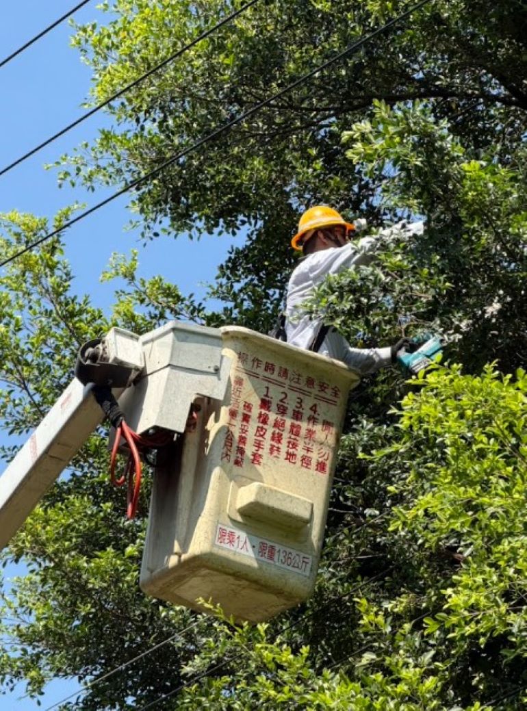 《圖說》台電北西區處人員於颱風前積極修剪電線上的樹木，確保颱風期間電力穩定供應。〈台電北西區處提供〉
