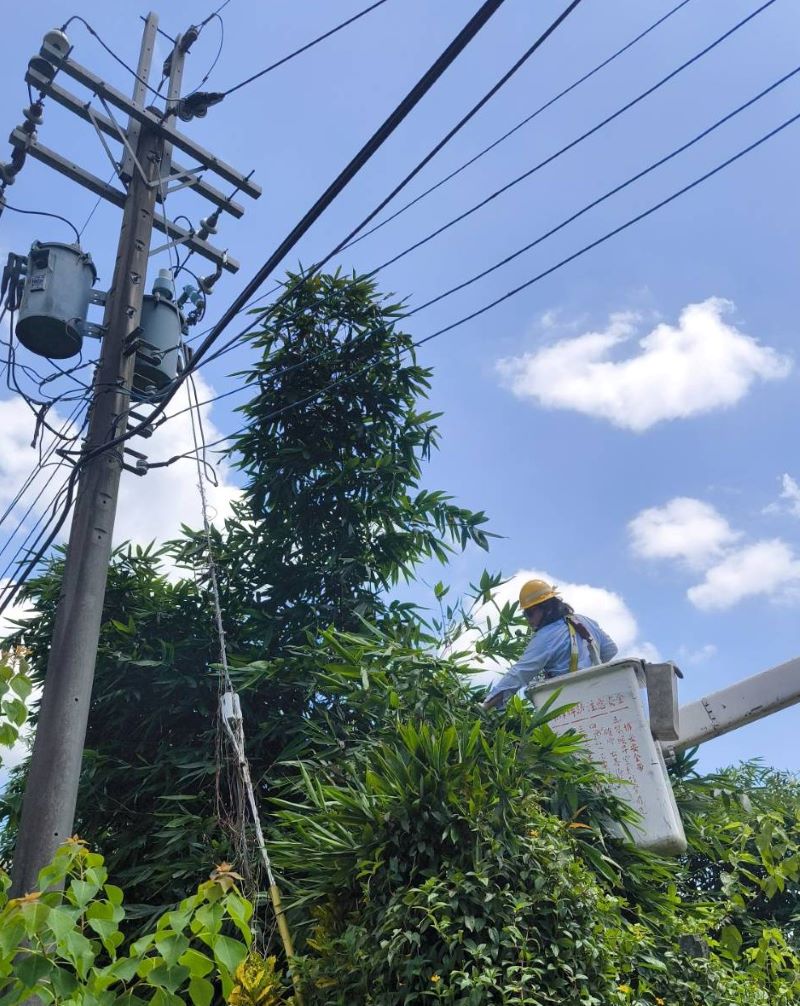 巴威來襲 台電北南區處加強巡檢確保穩定供電 22 《圖說》北南區處防颱整備進行樹木修剪。〈台電北南區處提供〉