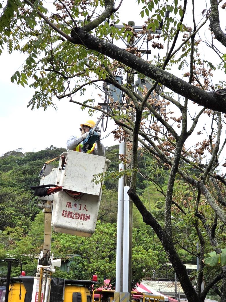 強颱巴威逼近 台電北市區處超前部署總動員全面戒備 53 《圖說》台電人員超前部署,執行預防性樹枝修剪。〈台電台北市區處提供〉