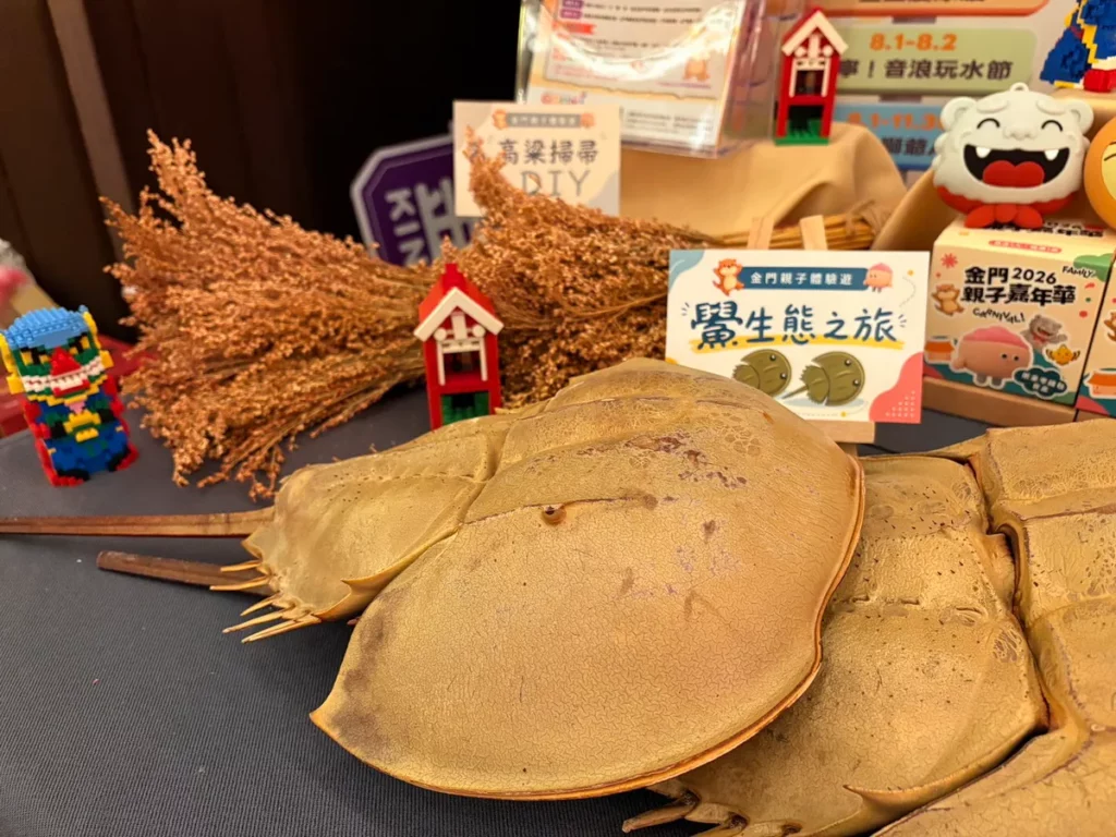 現場展示體驗遊程中的「高粱掃帚 DIY」與活化石「鱟殼」,成為最吸睛焦點1