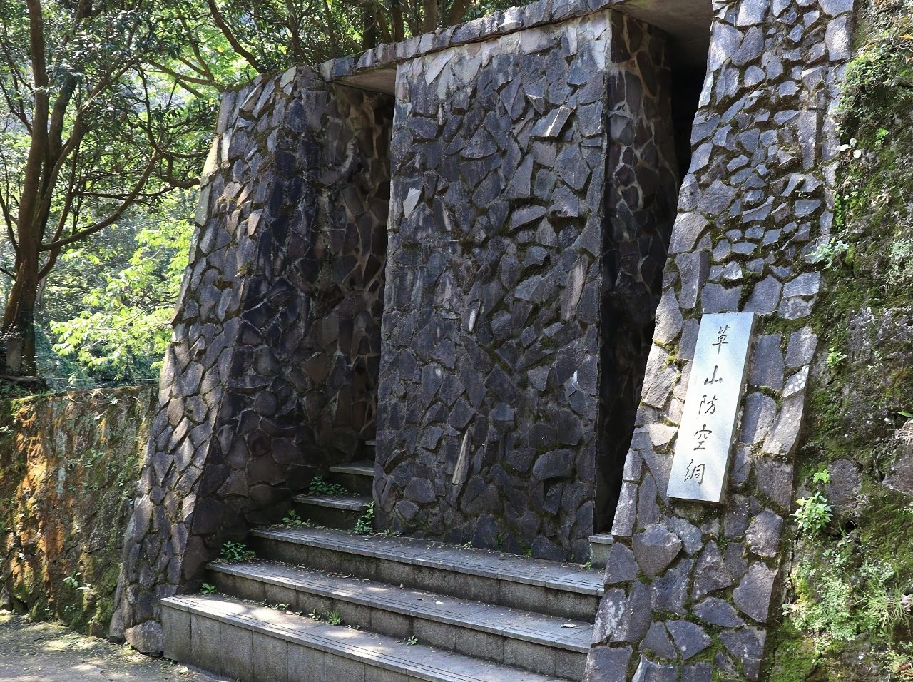 臺北陽明山私房秘境曝光！　橫嶺古道竹林隧道、五色鳥一次看