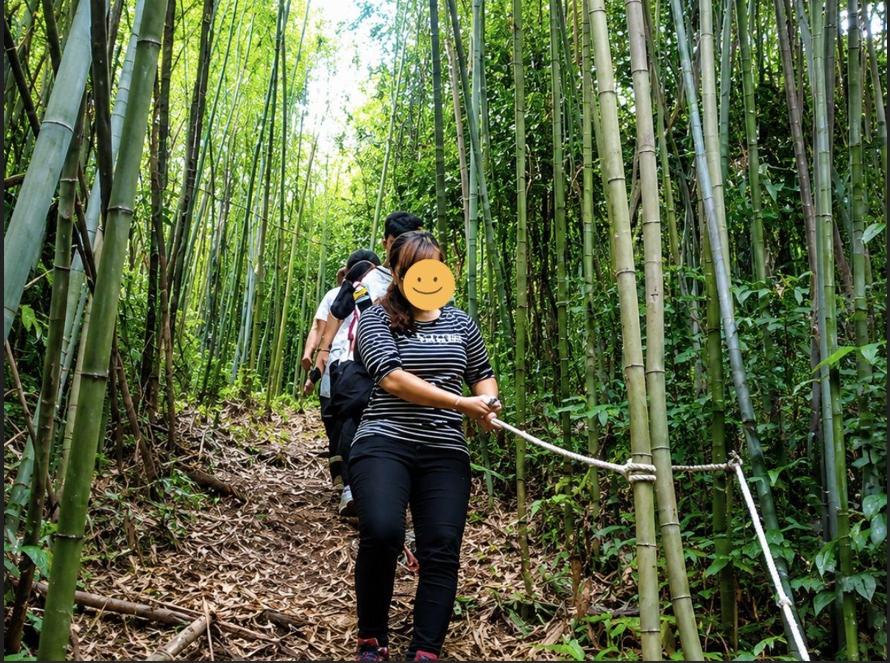 烏來泰雅獵人文化體驗帶領旅客走進山林，理解原住民族與自然共生的生活方式（圖/Medick Marketing Ltd.提供）