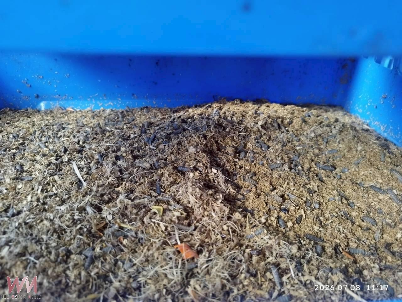 從廢棄物到資源!黑水虻串聯五鄉鎮開啟淨零農業新時代 - https://www.watchmedia01.com