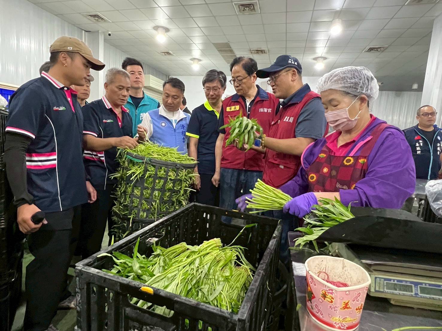 桃園加強蔬菜搶收、冷鏈倉儲及稻穀收購 降低颱風對農業民生衝擊 1090791 0