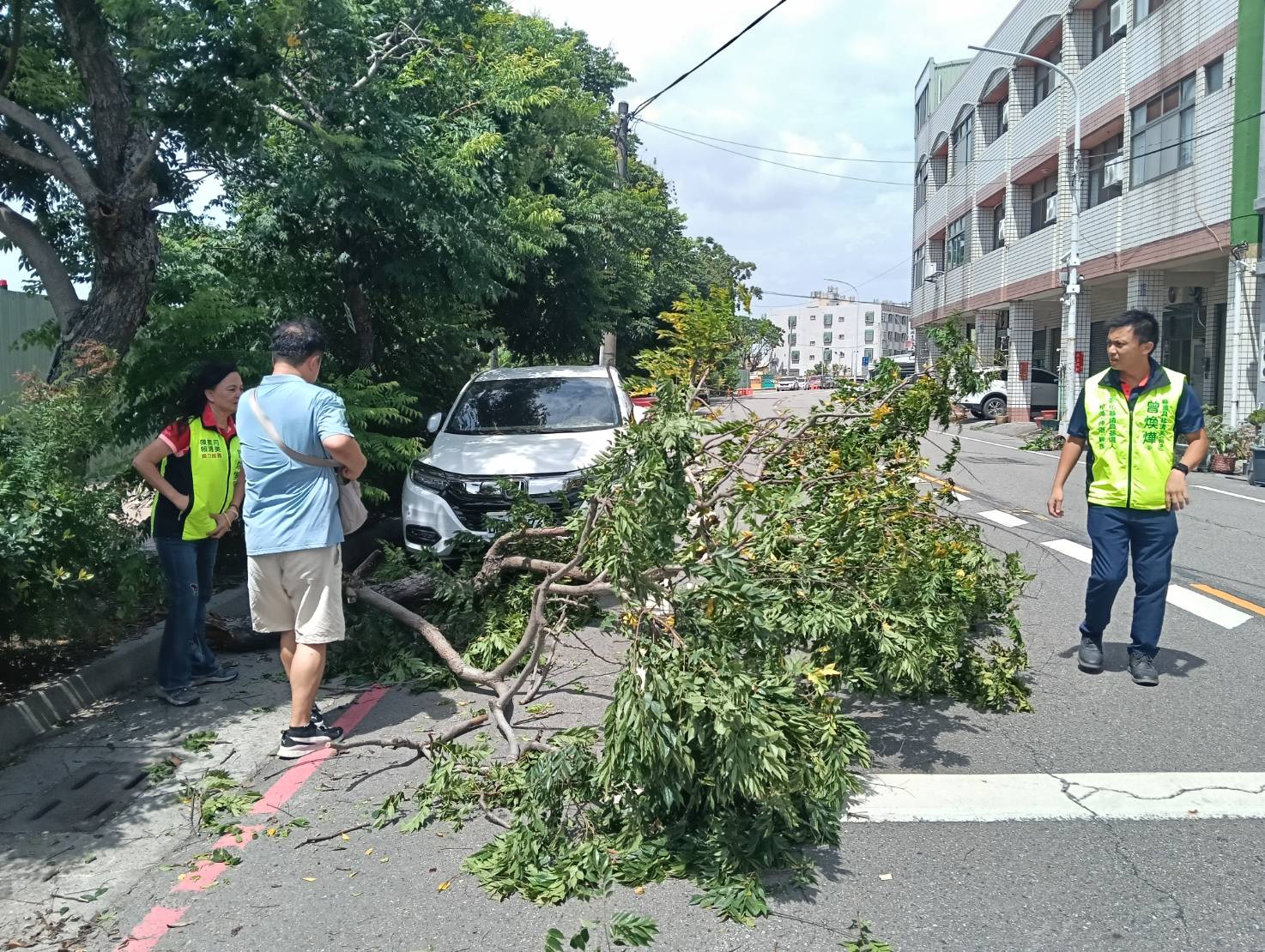 風雨未大先出事！巴威襲彰化　樹倒砸車、轎車撞斷路燈 - https://www.watchmedia01.com
