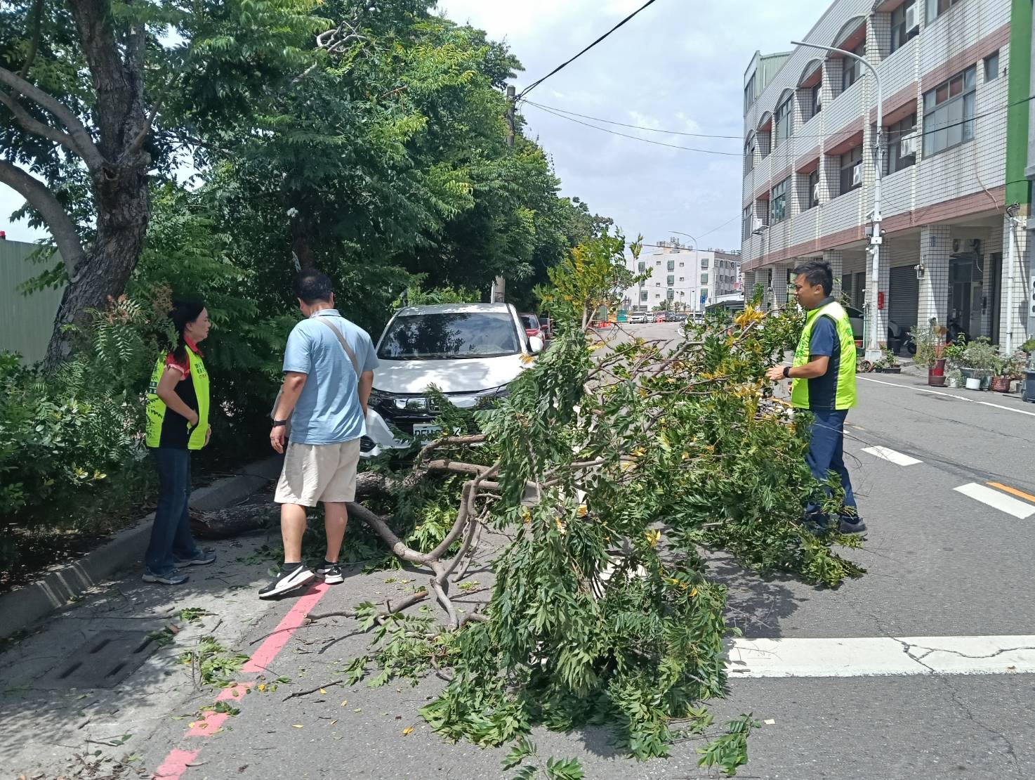 風雨未大先出事！巴威襲彰化　樹倒砸車、轎車撞斷路燈 - https://www.watchmedia01.com